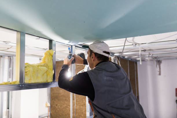 Best Insulation Repair Services  in Cudjoe Key, FL