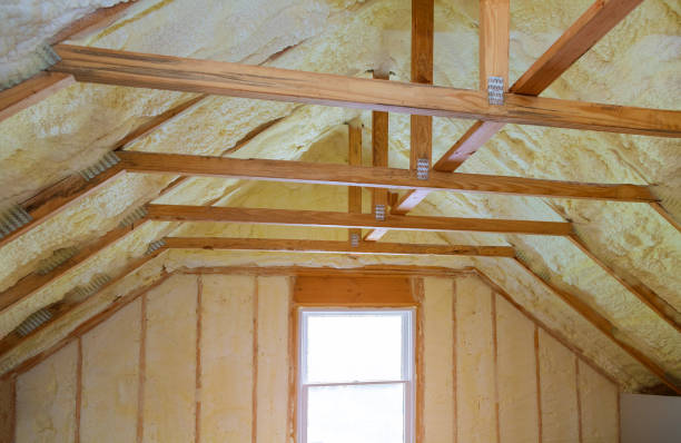 Best Local Insulation Services  in Cudjoe Key, FL