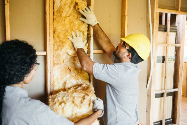 Best Garage Insulation Installation  in Cudjoe Key, FL