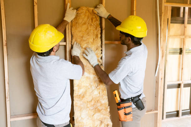 Best Insulation Inspection Services  in Cudjoe Key, FL