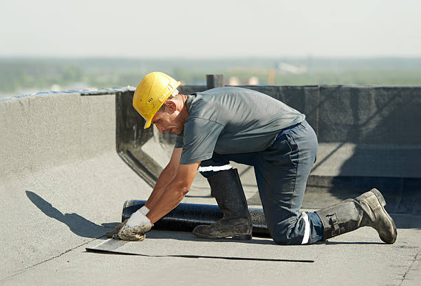 Best Spray Foam Insulation  in Cudjoe Key, FL