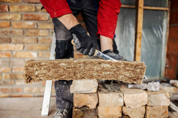 Best Professional Insulation Contractor  in Cudjoe Key, FL